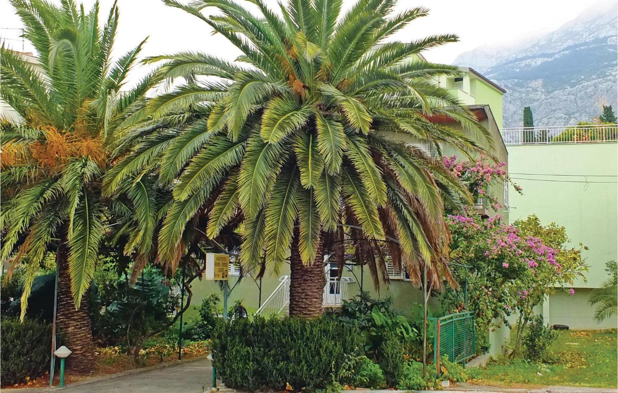 Lovely Apartment In Makarska With Wifi Eksteriør bilde